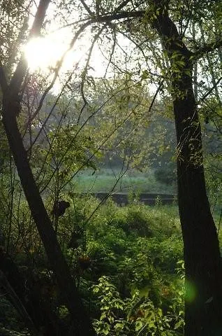 Brucker Sportpark Colonia