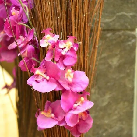 Brucker Sportpark Hotel 2*