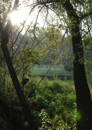 Brucker Sportpark 科隆