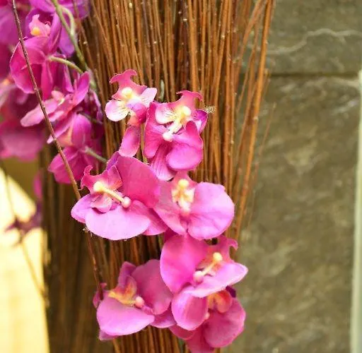 Brucker Sportpark Hotell 2*